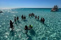 Stingray City and Snorkeling Tour Starfish Point Adventure