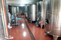 Falassarna beach and wine tasting tour (price per group of 6)