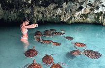 Zanzibar Jozani Forest, Salaam Cave and The Rock Restaurant