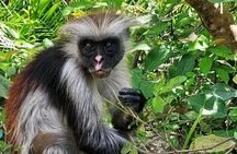 Zanzibar Jozani Forest, Salaam Cave and The Rock Restaurant