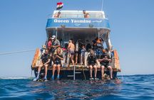 Two Scuba Diving for Beginner with Lunch and Transfer in Hurghada