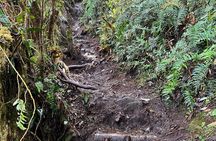 Hiking in the mountains of Salento-Cerro Morrogacho