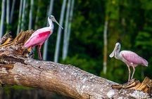Manu National Park 3 Day Tour Adventure in the Peruvian Amazon