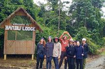 Manu National Park 3 Day Tour Adventure in the Peruvian Amazon
