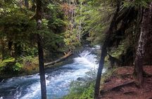 Eugene area Waterfalls & the McKenzie River in a Tesla