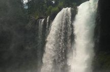 Eugene area Waterfalls & the McKenzie River in a Tesla