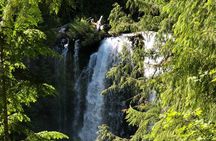 Eugene area Waterfalls & the McKenzie River in a Tesla