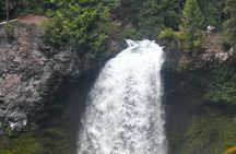 Eugene area Waterfalls & the McKenzie River in a Tesla