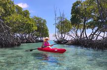 La Parguera Boat Charter with Captain: Kayak & Snorkel