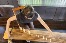 Japanese Traditional Music Experience