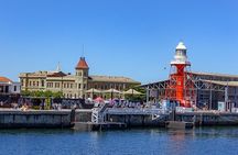 Port Adelaide Walking Tour and optional Dolphin Cruise
