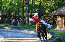 Korean Folk Village and Suwon Hwaseong Fortress Day Tour(EG Tour)