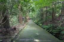 1 Day Tour from Kanazawa Tedori Gorge White Road and Shirakawa Go