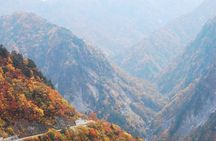 1 Day Tour from Kanazawa Tedori Gorge White Road and Shirakawa Go
