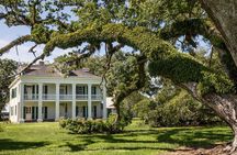 Felicity Plantation Tour