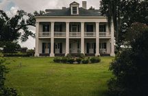 Felicity Plantation Tour