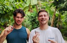 Tour of indigenous trails, coffee, cocoa, waterfalls - Minca