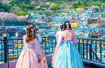 Busan's Cultural Wonders with Beach Train & Gamcheon Village etc