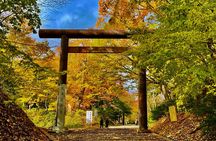 Hokkaido Shrine Guided Tour & Local Sweets
