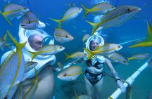 SeaTrek Tour St. Maarten