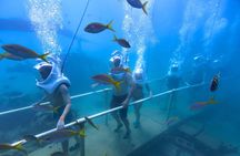 SeaTrek Tour St. Maarten