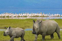 4 Days Private Camping Safari
