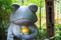 Fukuoka Beppu Hot Springs and Yufuin Day Tour