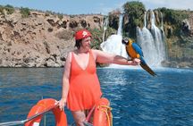 Sea Turtle Swimming And Waterfal Boat Trip