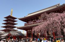Tokyo Private Half-Day Tour by Car with Local Guide