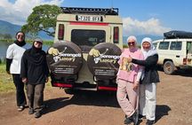 Arusha Tanzania 4WD Private Tour