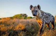 Arusha Tanzania 4WD Private Tour