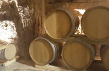 Historic winery visit with food and wine tasting in Marsala