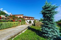 Avellino: Winery Tour with Wine Tasting and Local Foods