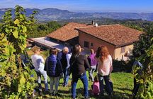 Avellino: Winery Tour with Wine Tasting and Local Foods