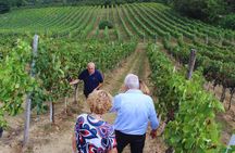 Avellino: Winery Tour with Wine Tasting and Local Foods