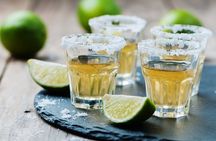 Gdansk: Private Vodka Tasting Tour