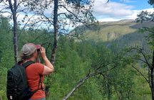Guided Hike right from Tromsø City