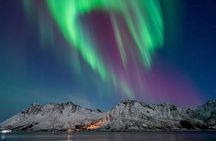 Northern Lights Adventure in Lofoten Small Group Tour