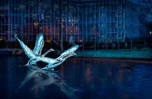 Amsterdam Light Festival Open Boat Cruise