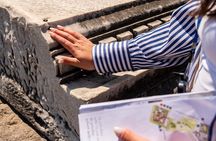 The Ultimate Pompeii Skip-the-Line Tour – Small Group or Private