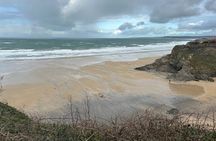 Private Full Day Tour of Cornwall Tintagel, St Ives and More