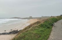Private Full Day Tour of Cornwall Tintagel, St Ives and More