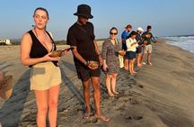 Baby sea turtles camp