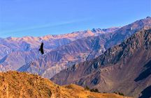 Colca Canyon Full Day Tour from Arequipa to Puno