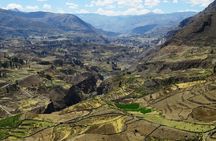 Colca Canyon Full Day Tour from Arequipa to Puno