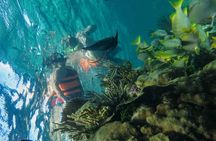 Contoy Reef & Isla Mujeres Tour! From Cancun & Playa del Carmen 