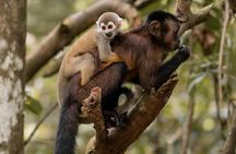 1 Day All-Inclusive Guided Jungle Tour from Iquitos