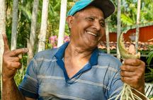 Full-Day All-Inclusive Guided Jungle Tour from Iquitos