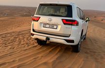 Morning Desert Safari with Private Transfers