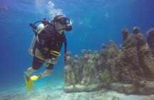 Scuba Dive at Musa Cancun for Certified Divers